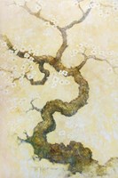 Dogwood Fine Art Print