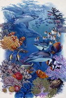 Reef Fine Art Print