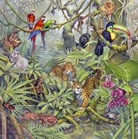 Jungle Fine Art Print