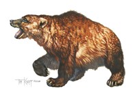 Cave Bear Fine Art Print