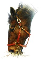 Equestian Fine Art Print