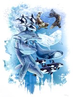 Ocean Mammals Fine Art Print
