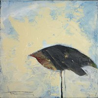 Snowbird Fine Art Print