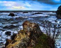 Poets Retreat Fine Art Print