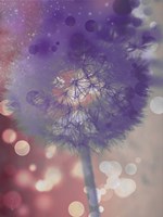 Wishful Thinking I Fine Art Print