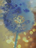 Wishful Thinking II Fine Art Print