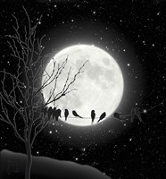 Moon Bath I Fine Art Print