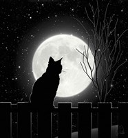 Moon Bath II Fine Art Print