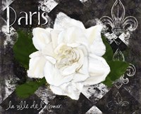 Paris La Vill De L'amour Fine Art Print