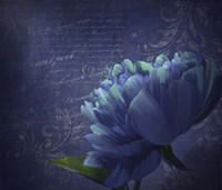 Patience Fine Art Print