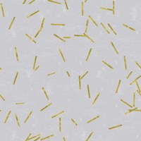 Grey Linen Golden Matchstick Confetti Fine Art Print