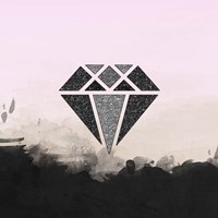 Precious Diamond Fine Art Print