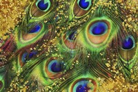 Buried Treasure I Fine Art Print