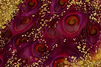 Buried Treasure II Framed Print