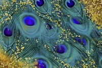 Buried Treasure IV Framed Print