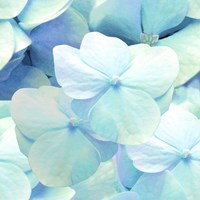 Zen Pattern Fine Art Print