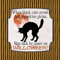 Black Cats Fine Art Print