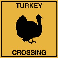 Turkey Crossing Fine Art Print
