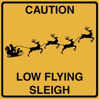 Low Flying Sleigh Fine Art Print