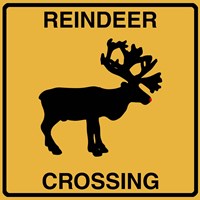 Reindeer Crossing Fine Art Print