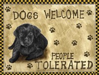 Dogs Welcome Fine Art Print