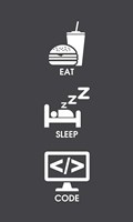 Eat Sleep Code - White Icons Fine Art Print