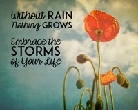Without Rain Nothing Grows Color Fine Art Print