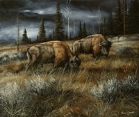 Wet and Stormy Fine Art Print