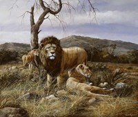 Kenyan Pride Fine Art Print