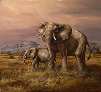 Mother and Child (Elephants) Fine Art Print