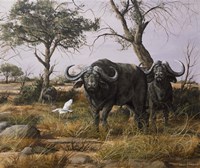 Sudden Nerves Fine Art Print