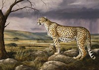 The Overlook Fine Art Print