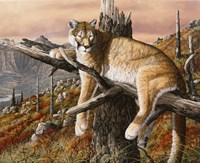 Valley View Fine Art Print