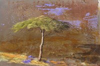 Sheltering Strength Fine Art Print