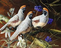 Among Spring Blooms Fine Art Print