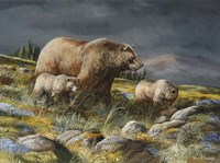 Before The Storm Fine Art Print