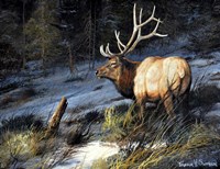 Indomitable Fine Art Print