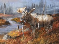 King At Water's Edge Fine Art Print