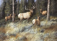 Moving In To Cover Fine Art Print