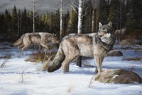 Pack Leaders Fine Art Print