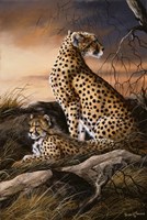 Cheetahs Of Dusk Fine Art Print