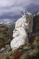 Cliffside Partners Fine Art Print