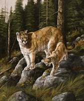Mother and Child (Mt. Lions) Fine Art Print