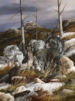 Watchful Scouts Fine Art Print