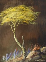 Desert Riot Fine Art Print