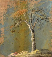 Bare Tree Fine Art Print