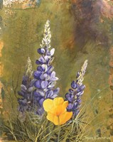 Poppies And Lupine Fine Art Print