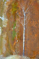 Touch Of Autumn 1 Fine Art Print