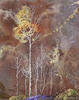 Under Watchful Branches Fine Art Print