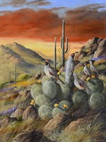 Desert Refuge Fine Art Print